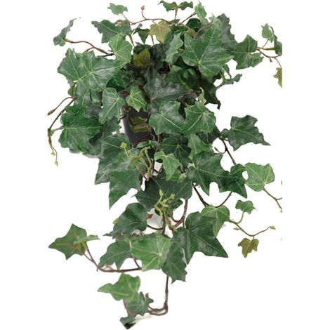 Lierre arborescent artificiel en pot, H 55 cm, D 35 cm (1/3)