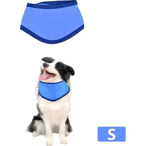 Écharpe rafraîchissante pour chiens - Collier rafraîchissant respirant en PVA - Écharpe/bandana triangulaire rafraîchissante pour animaux de compagnie - Écharpe d'été rafraîchissante - Collier pour an (1/4)