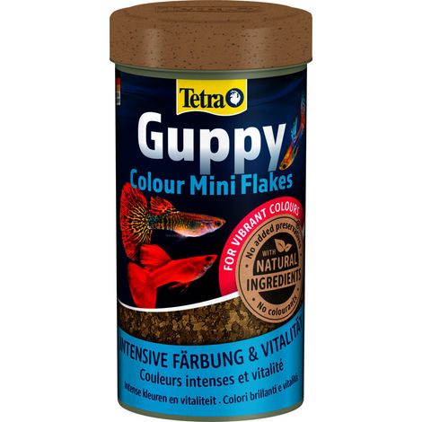 Guppy couleur mini flocons 75g - 250 ml Aliment pour les Guppies, platys, mollys, porte-épées - Tetra