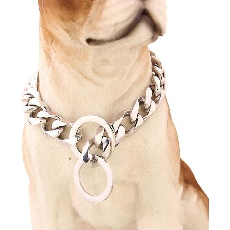 un Collier En Argent De 25,4 Cm (15,2 Cm Recommand Pour Les Chiens). (1/5)