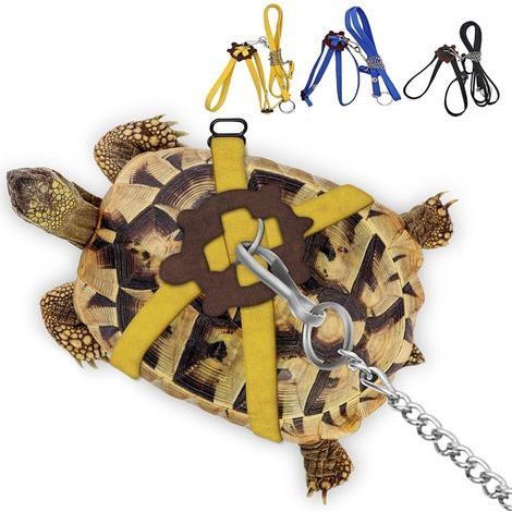 1 Harnais en Cuir avec Laisse Réglable pour Tortue et Lézard Accessoire de Promenade Confortable Taille M (1/5)