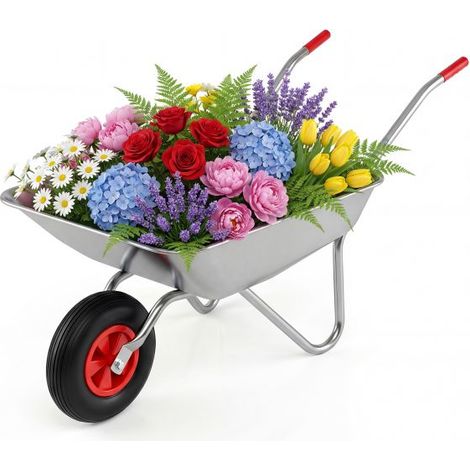 Brouette de Jardin Monoroue en Métal Galvanisé, Capacité 62,5 L, Charge Max 136 kg, Pneu Caoutchouc 32 cm, Deux Poignées Ergonomiques, Chariot Basculant pour Jardin et Agriculture (1/5)