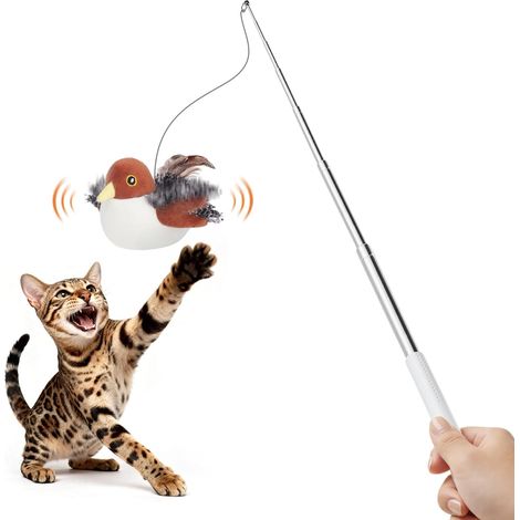 Jouet Chat Interactif Oiseau Volant, Canne, Catnip (1/5)