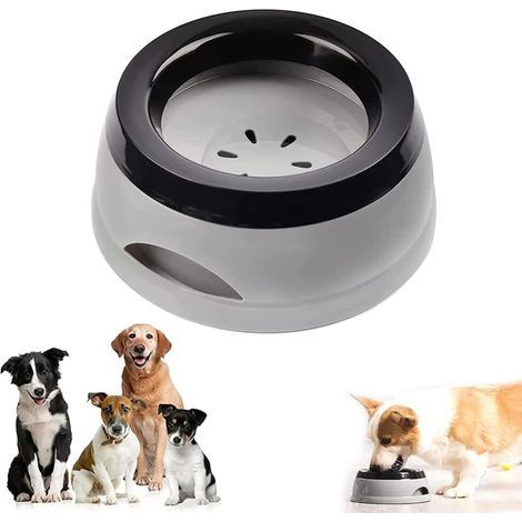 Couvercle anti-fuite et anti-éclaboussures, gamelle pour nourriture, gamelle pour chien, gamelle pour chat (1/4)