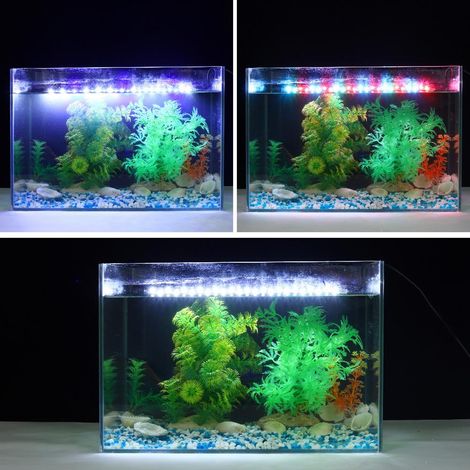 Lampe aquarium submersible, éclairage sous-marin pour réservoir poissons (1/5)