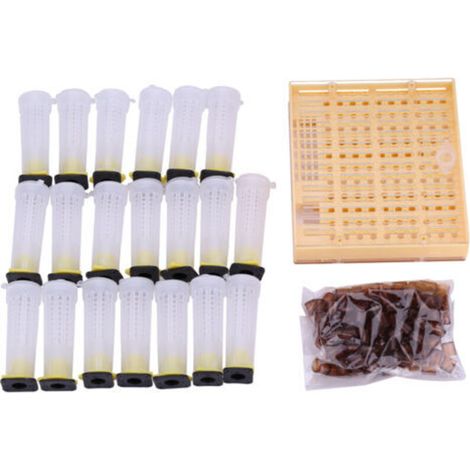 Fafeims Bee House, Boîte D'élevage de Reines, Kit D'outils de Culture en Plastique avec Gobelets Cellulaires pour Que Les Apiculteurs Puissent élever des Reines sans Greffer de Larves