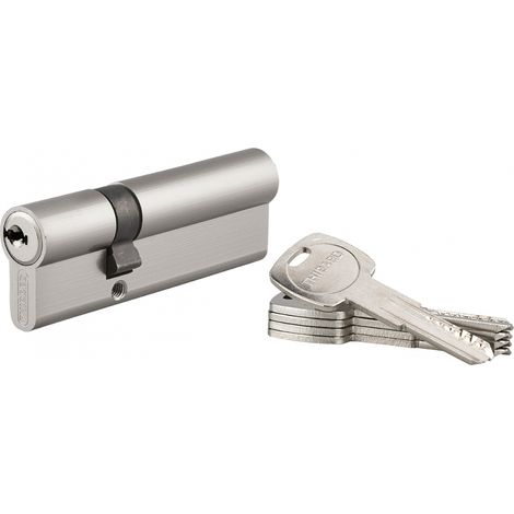 Cilindro europeo Trafic 6 30 x 60 mm, nichelato, anti-perforazione, anti-rottura, 5 chiavi – THIRARD (1/5)