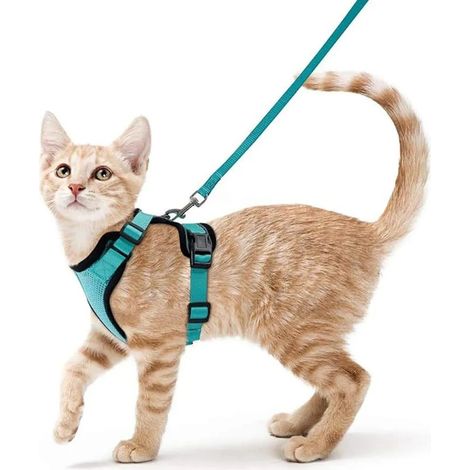 Harnais lumineux pour chien, harnais pour chat avec laisse, harnais souple, gilet anti-fugue ajustable pour chat, taille S (1/5)