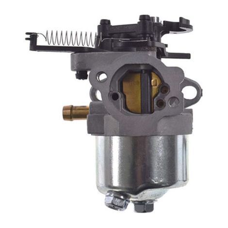 Convient pour carburateur Briggs & Stratton 591852 590834 793493 793463 (1/5)