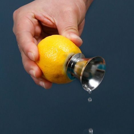 Presse-agrumes manuel en acier inoxydable avec bec verseur, adapté aux jus d'orange, de citron et de citron vert. (1/5)