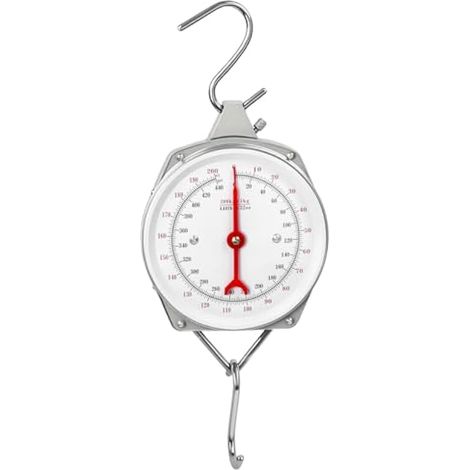Balance suspendue, balance de valise avec crochet, gris, 200 kg (1/4)