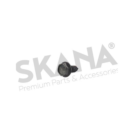 Befestigungsschraube für Rasentraktor 4,8x13mm - GGP - 112735110/0