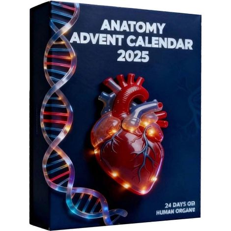 Festival Acryl-Orgel-Weihnachtsdekorationen, 12-teiliges bruchsicheres Ornament-Set mit einfach zu montierendem Haken zur Weihnachtsbaumdekoration, mehrfarbig (1/5)