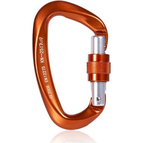 Mousqueton - Aluminium 7075 - Résistance 25 kN - Escalade Alpinisme Randonnée - 2 Pièces (1/5)