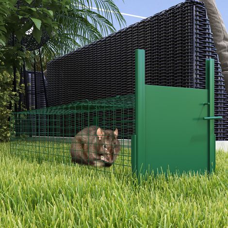 Cage attrape animaux nuisibles 1 entrée dim. 100L x 25l x 28H cm vert foncé (1/5)