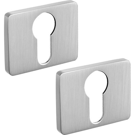 Placa rectangular para inserto LP2 Roseta de puerta satinada (1/2)