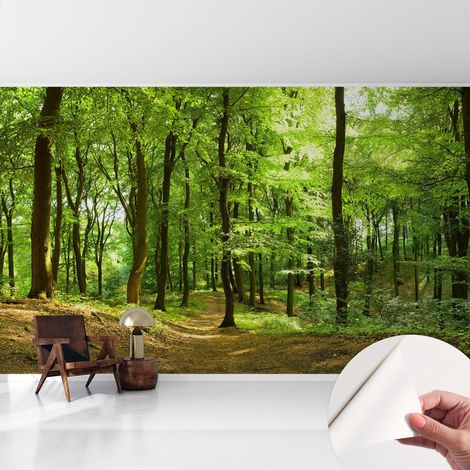 Tapete Selbstklebend - abwaschbar - Tapete mit Motiv - trendige Wanddeko - elegant Fototapete  Naturpfad 416x254 cm (1/5)