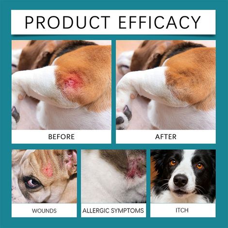 Pet skin care spray gently cares for your pet's skin. -- Pet skin care spray (1/4)