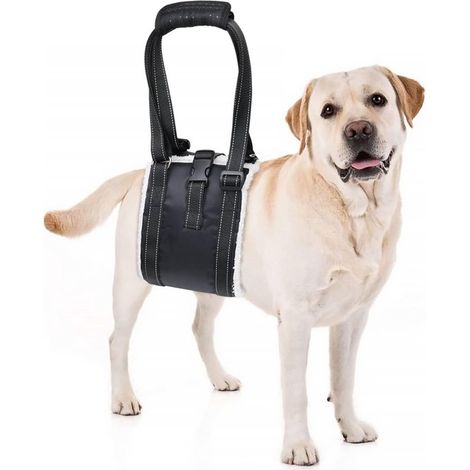Arnés ajustable para perros con hebilla antideslizante, correa de transporte suave para perros mayores, lesionados (1/5)