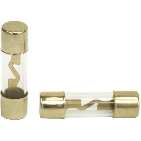 2 Fusibles AGU dore - 38mm - 30A x2
