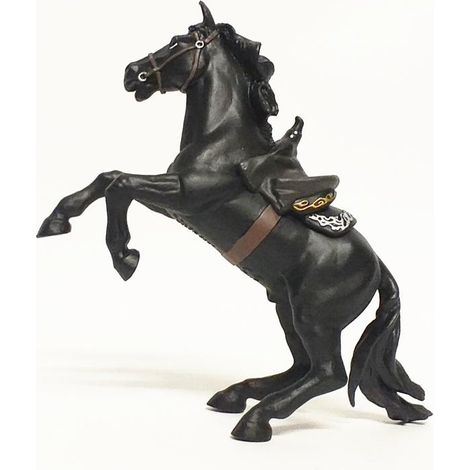 Il cavallo di Zorro