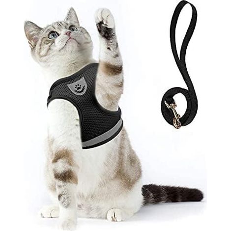 Harnais pour chat avec laisse - Ensemble de promenade confortable et réglable (1/5)