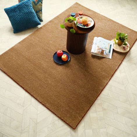 Tapis de salon ou chambre Chromaluxe Noisette - Résistant aux taches - 80 x 150 cm (1/5)