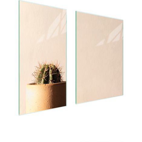 PLACA PROTECTORA DE VIDRIO 75x52 CACTUS (1/5)