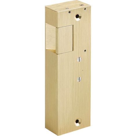 Gache électrique en applique 12V serrure verticale à émission 158 mm porte droite Beugnot 8