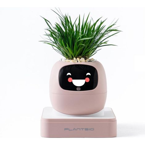 Smarter Blumentopf mit KI-Display, Blush Pink, für Zimmerpflanzen (1/5)