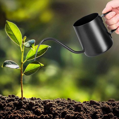 Arrosoir noir de 350 ml pour petites plantes d'intérieur, en acier inoxydable, avec long bec en col de cygne, arrosoir de jardin pour plantes d'intérieur et plantes succulentes (1/5)