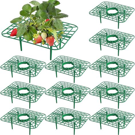 Ensemble de 12 supports carrés pour fraisiers - Cadre de culture - Support pour fraisiers, support de culture pour garder les fraises propres (carré, 12 pièces) (1/5)