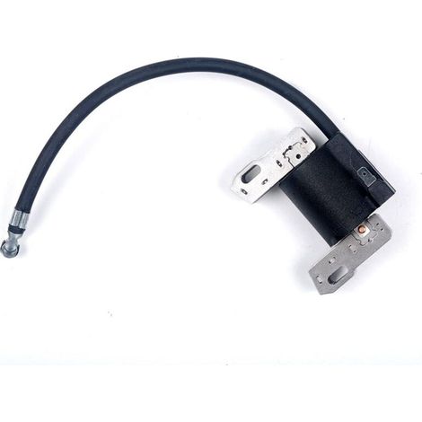 Bobine d'allumage électronique pour Briggs & Stratton 715231 799650 795315 690248 Armature (1/5)