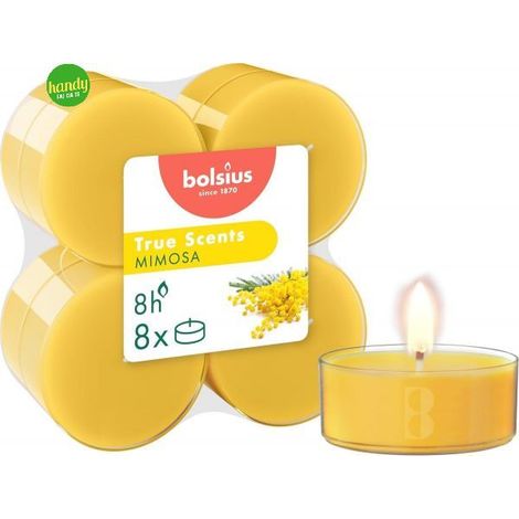 Tealights Maxi True Scents Bolsius Mimosa 8 pz