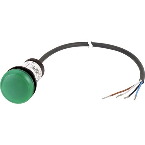 Eaton C22-L-G-24-P62 Meldeleuchte flach Grün 24 V DC/AC 1 St.