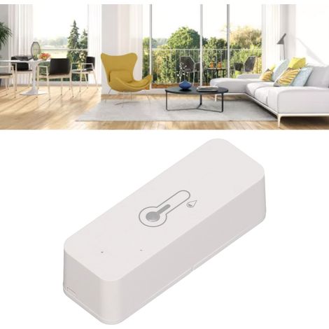TH01 Graffiti Smart WiFi Temperatur- und Feuchtigkeitssensor mit Fernsteuerungs-App und Echtzeit-Messsonde (1/5)