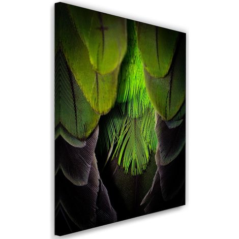 Tableau déco Plume Oiseau Nature Vert 60x90 (1/5)
