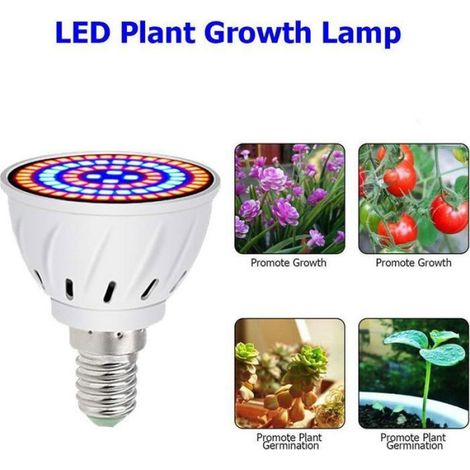 Ampoule Led Croissance Plantes - Spectre Complet 60 Led - E14 220 V - Pour Culture Intérieure Serre Hydroponie - 1 Pièce (1/5)