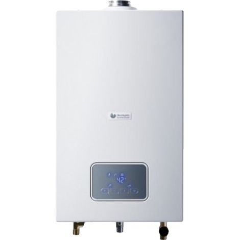 Calentador de gas Hermann Saunier Duval Opalia F 12, 12 L/min