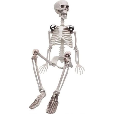 Squelette d'Halloween - ZGEER - 90 cm - Plastique - Articulations mobiles - Décoration de fête (1/4)
