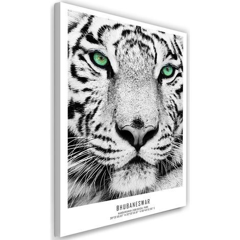 Tableau sur toile Afrique Tigre Animaux 40x60 (1/5)