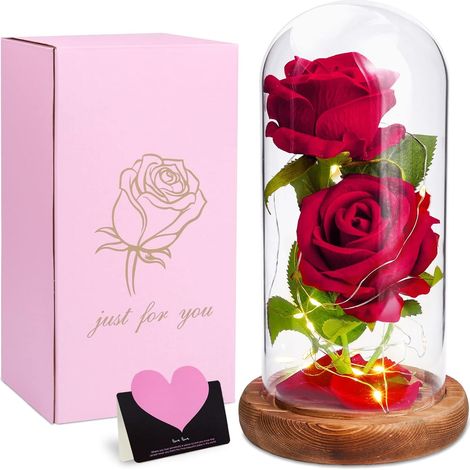 Rose Eternelle sous Cloche, La Belle et la Bête, Fleur avec Lumière LED, Abat-Jour en Verre, Décor Mariage Maison, Cadeau pour Maman/Femme/Mère/Mamie/Petite Amie (1/5)