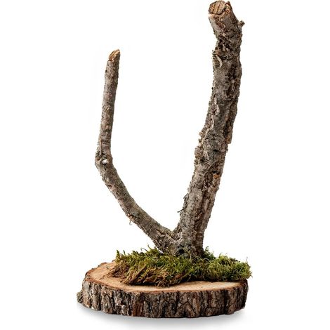 BioBranch Tree 40cm Quercia da sughero (1/5)