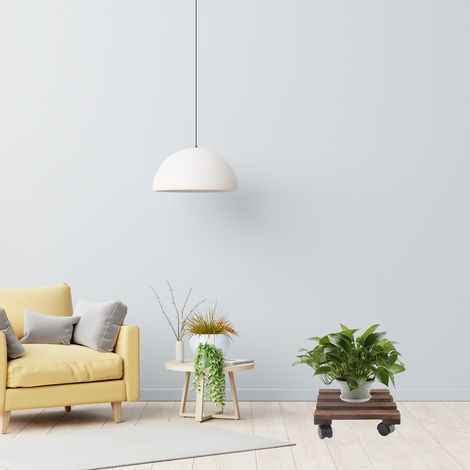 Plateau à Roulettes pour Pots de Fleurs - Support Mobile Universel avec Roues Robustes pour Déplacement Facile