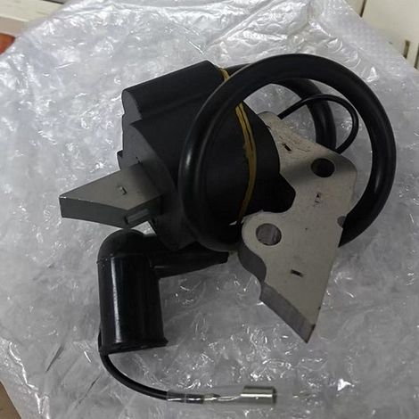 Bobine d'allumage EY20, allumeur haute tension 227-79460-11, bobine d'allumage adaptée aux moteurs Robin EY20. (1/4)