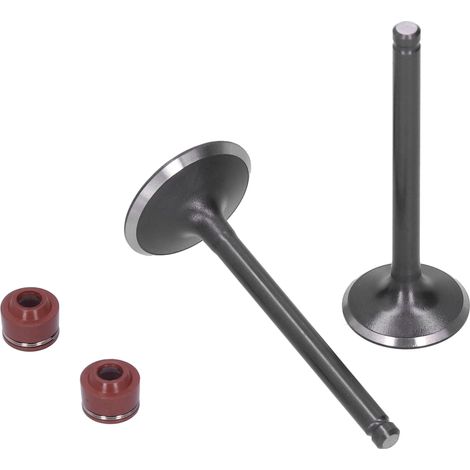 Joints d'étanchéité de soupapes d'admission et d'échappement pour culasse compatibles avec les moteurs YINXIANG YX 140cc, Pit Bike Pro, Trail, Dirt Bike, Thumpstar, Quad, ATV et Go Kart Dune. (1/5)