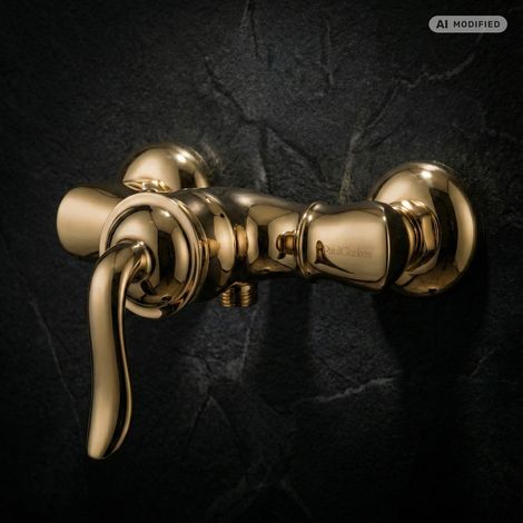 PaulGurkes Robinet de Douche Doré Style Rétro Nostalgique (1/5)