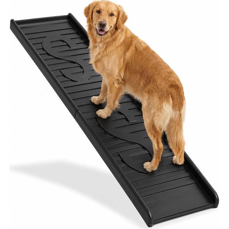 Rampa pieghevole in plastica per cani, nera, lunghezza 154 cm (1/5)
