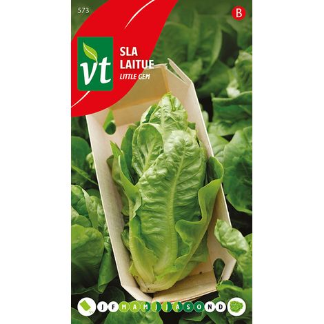 Laitue Little Gem - Ca. 1 gr (Livraison Gratuite) (1/2)