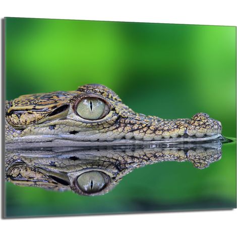 Plaque de protection en verre pour poêle 60x52 Crocodile (1/5)